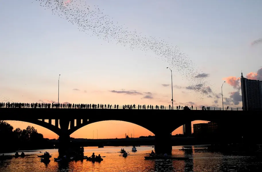 Silhouette of kayakers watching the bat exodus from the Congress Avenue Bridge at sunset